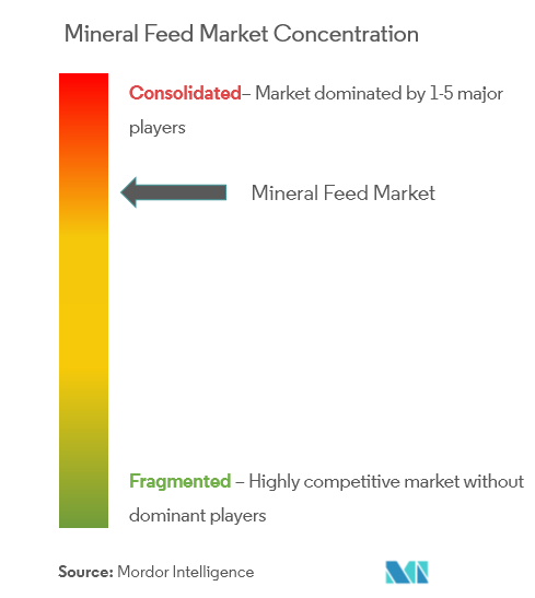 Mineral Feed Market Concentration